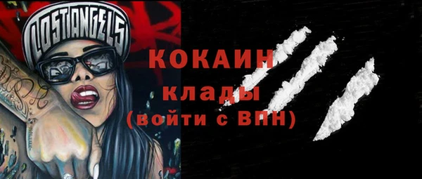 кокс Арсеньев