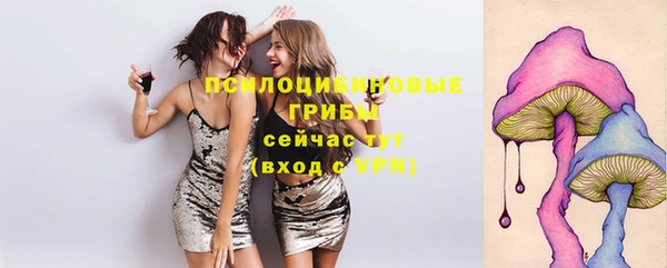 кокс Арсеньев