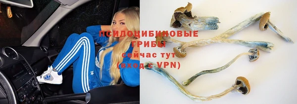 дурь Армянск