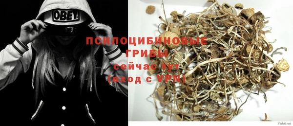 кокс Арсеньев