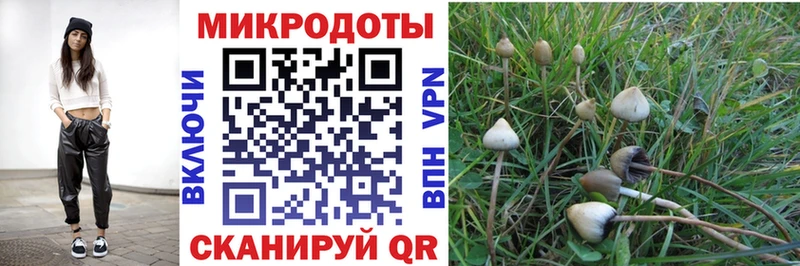 Псилоцибиновые грибы Cubensis  Октябрьск 